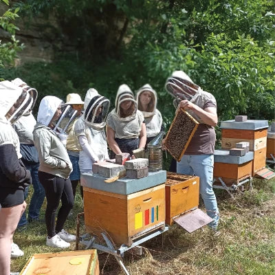Schülergruppe bei Bienenherz