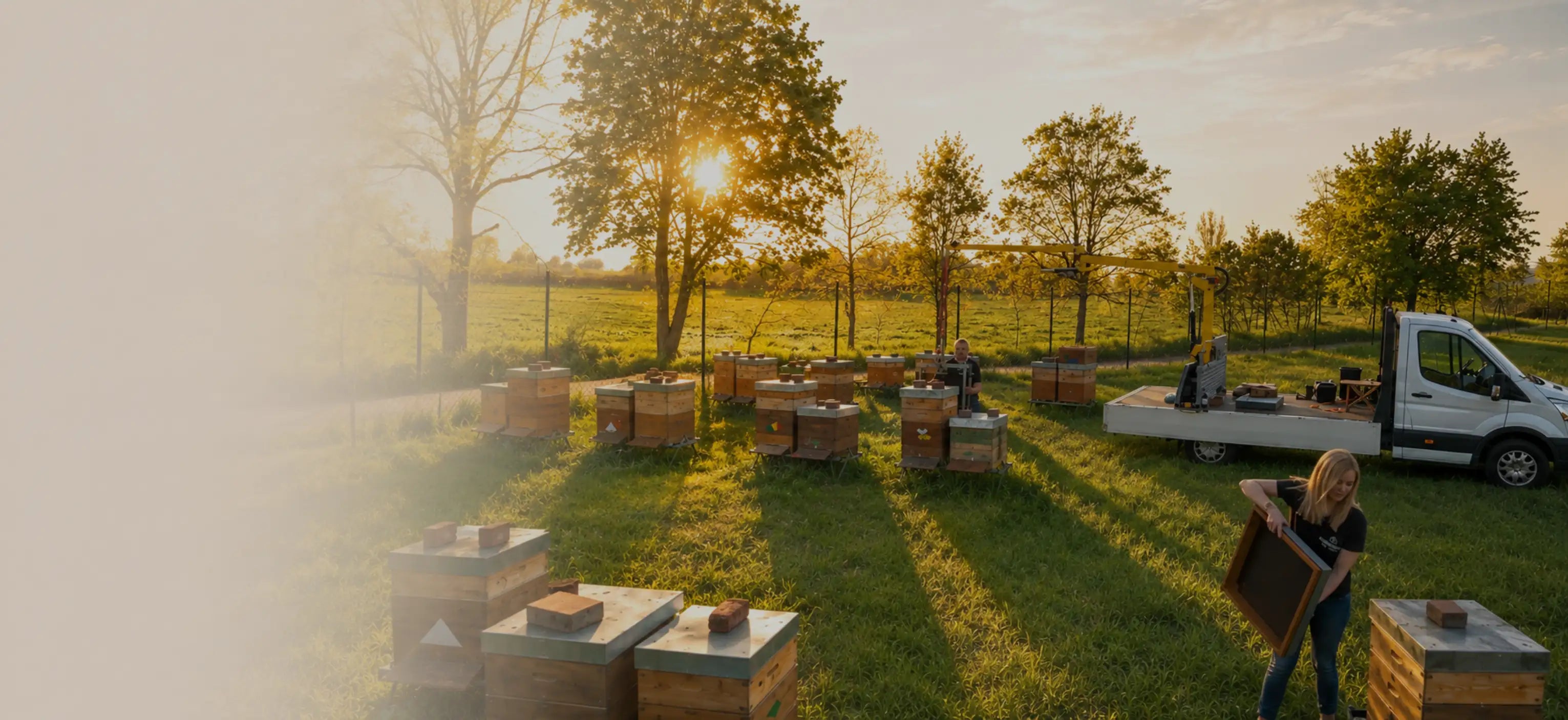 Blick auf einen Bienenstand von Bienenherz. Im Hintergrund mehrere Bienenstöcke, Hebetechnik sowie die Imker Dr. Florian Wöll und Katy Wöll