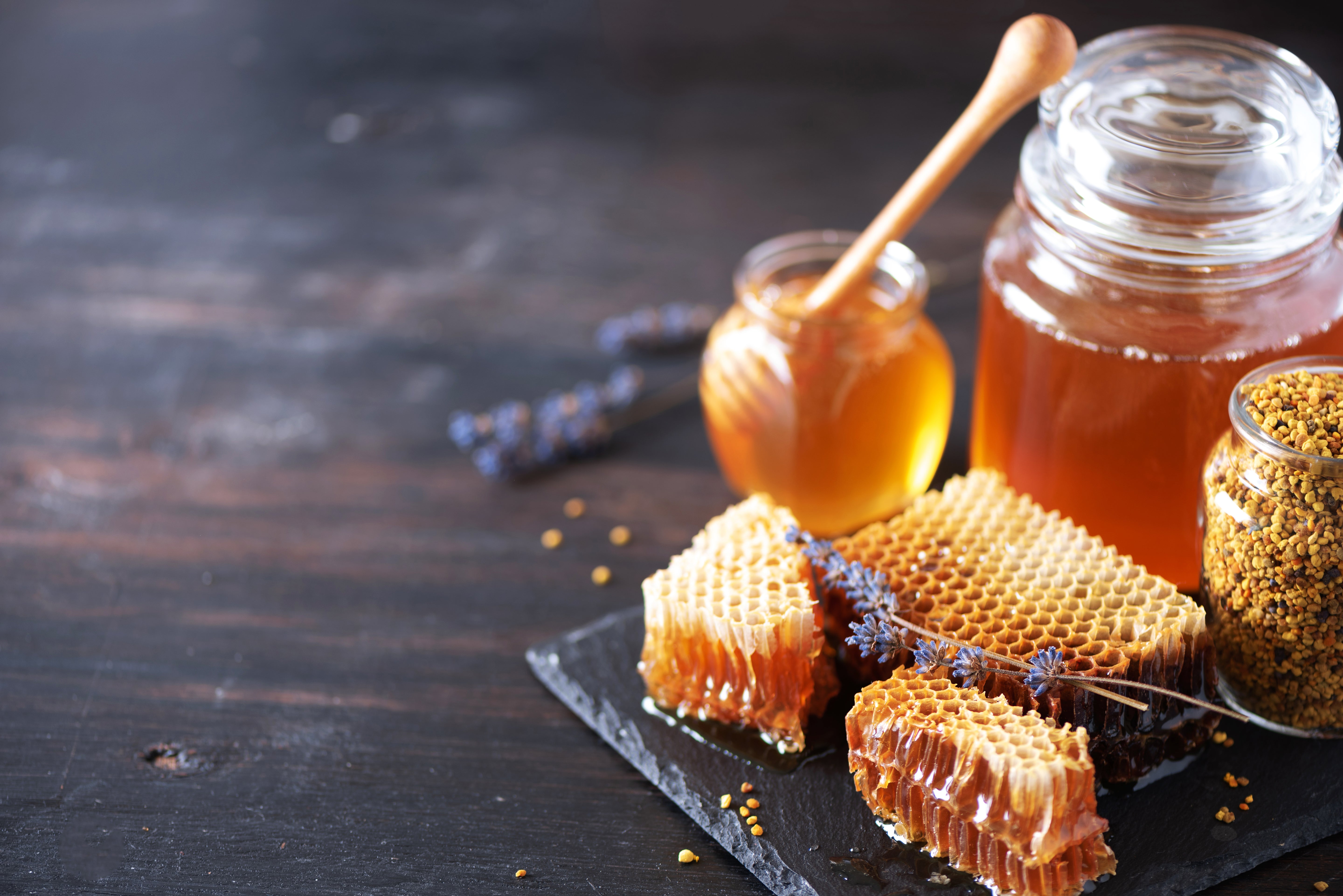 Bienenwaben, Honig und Bienenbrot von Bienenherz