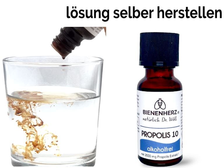 Mit der alkoholfreien Propolistropfen deine eigene Mundspülung herstellen von Bienenherz Anwendungsempfehlung