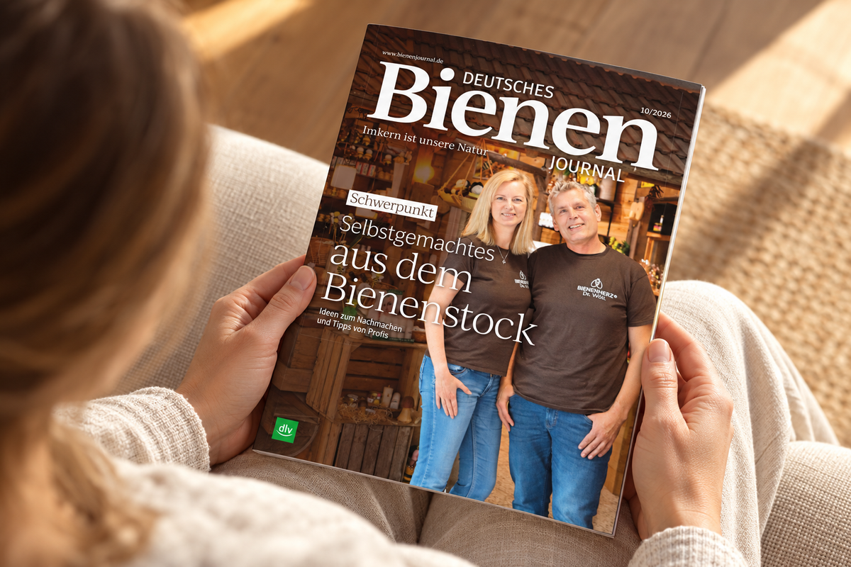 Blick von schräg oben über die Schulter: Eine Person hält das Deutsche Bienen-Journal 10/2026 mit Katy und Florian Wöll auf dem Titel in beiden Händen. KI-Bildinszenierung mit dem Originalcover als Vorlage.