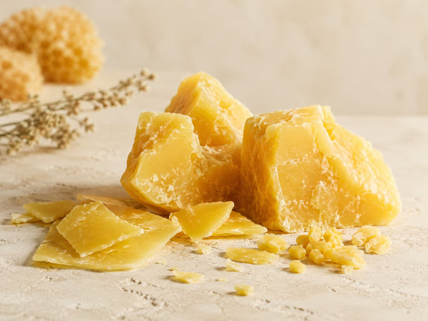 Bienenwachs