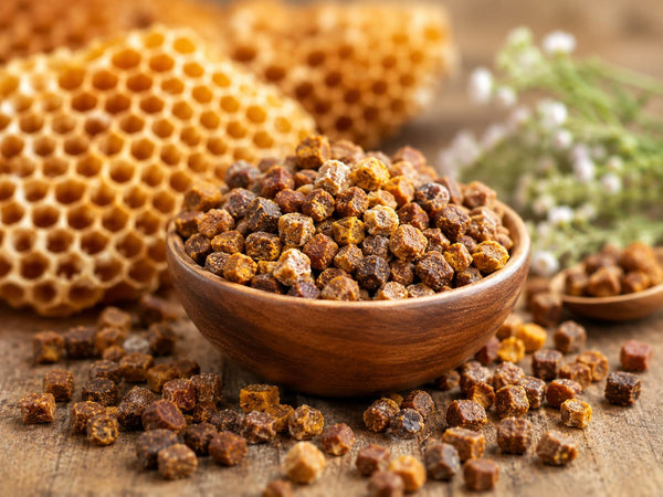 Perga / Bienenbrot