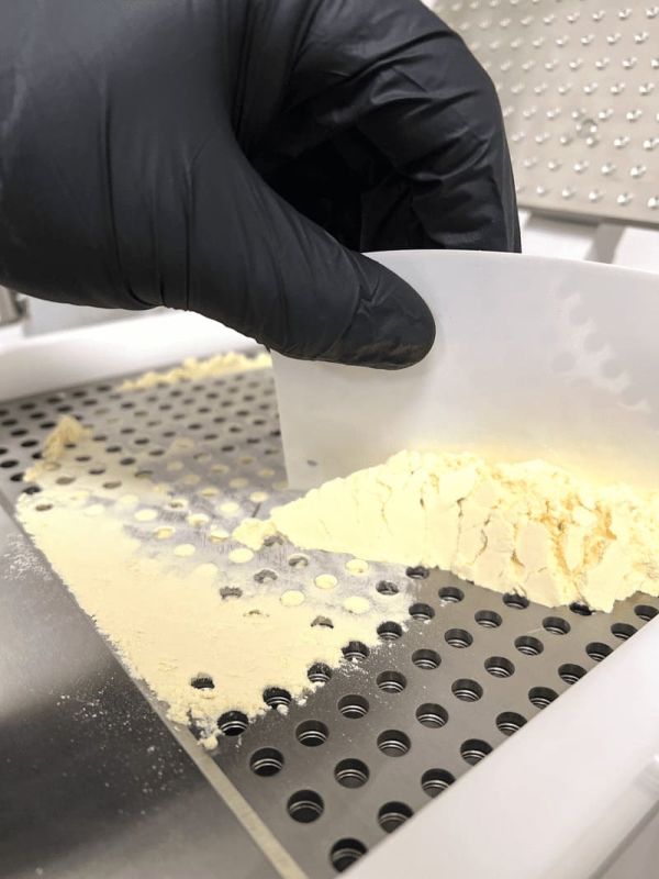Genaues verteilen von unserem hochwertigen Gelee Royale Pulver in die Kapselpresse.