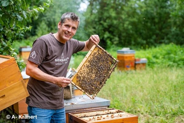 Dr. Florian Wöll am Bienenstand mit Bienenwabe