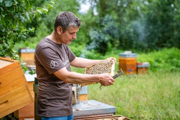 Imker Dr. Wöll am Bienenstand