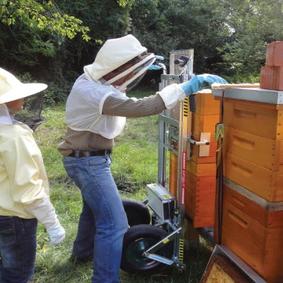 Kaptarlift an Bienenbeuten