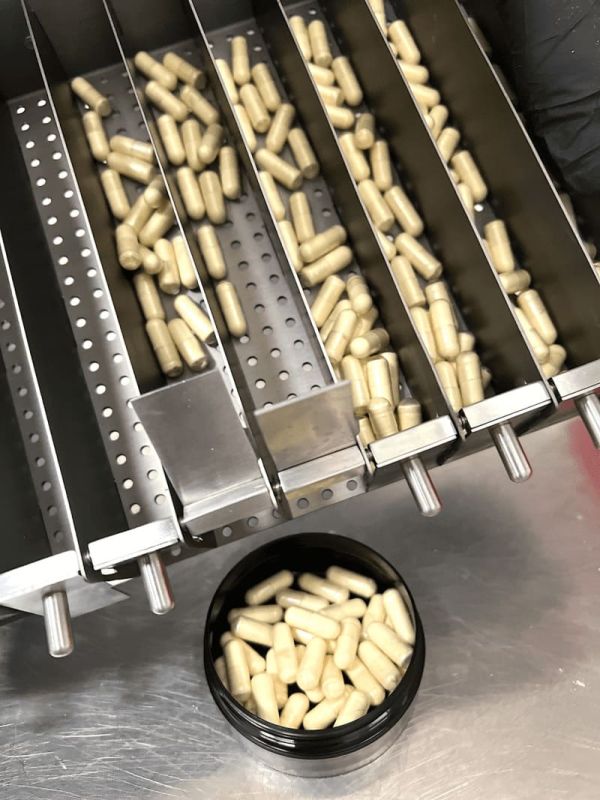 Abfüllung von Gelee Royale Kapseln von Bienenherz in eine umweltfreundliche Verpackung
