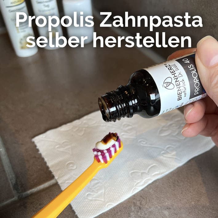 Für eine gezielte Unterstützung des Zahnfleisches, unsere Propolis Tinktur mit deiner Zahnpasta verwenden - Bienenherz