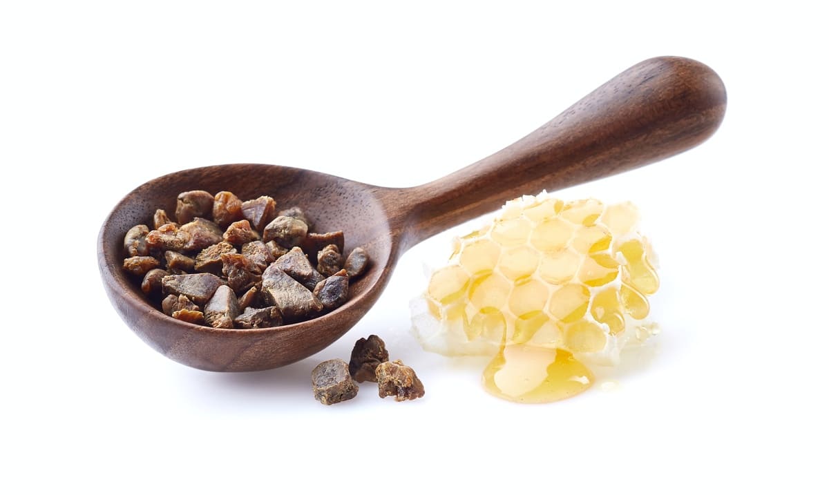 Bienenherz Propolis und Honigwabe - Naturkosmetik mit Honigprodukten