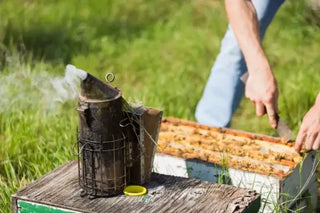 Smoker in der Imkerei
