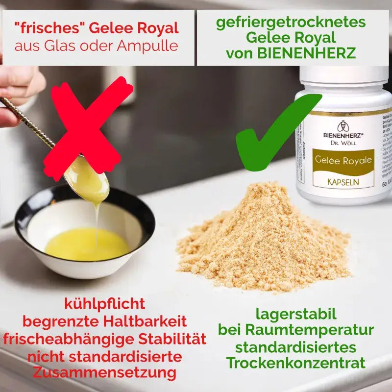 Vergleich frisches vs. gefriergetrocknetes Gelee Royale